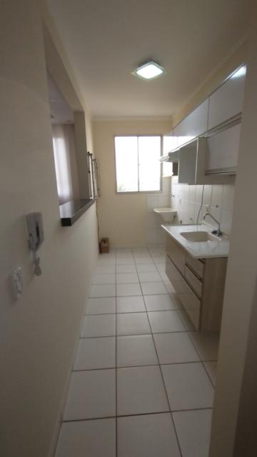 Alugar Apartamento / Padrão em São José do Rio Preto R$ 647,00 - Foto 14