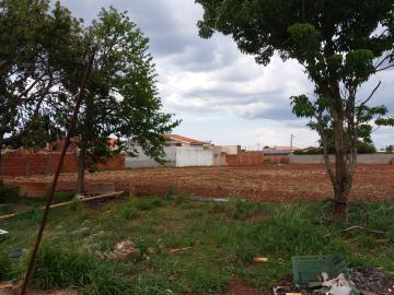 imagem 5 - Terreno 25.000 m² Loteamento Jorge Rodrigues imagem 5 - Terreno 25.000 m² Loteamento Jorge Rodrigues