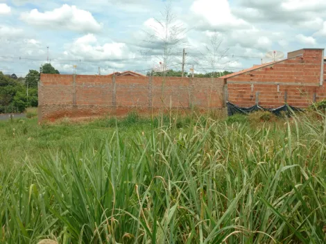 imagem 3 - UCHOA - Ótimo terreno com 210 m², fácil acesso, bem localizado imagem 3 - UCHOA - Ótimo terreno com 210 m², fácil acesso, bem localizado