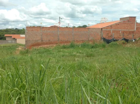 imagem 4 - UCHOA - Ótimo terreno com 210 m², fácil acesso, bem localizado imagem 4 - UCHOA - Ótimo terreno com 210 m², fácil acesso, bem localizado