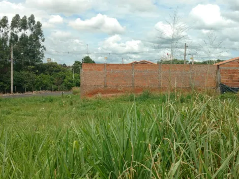 imagem 5 - UCHOA - Ótimo terreno com 210 m², fácil acesso, bem localizado imagem 5 - UCHOA - Ótimo terreno com 210 m², fácil acesso, bem localizado
