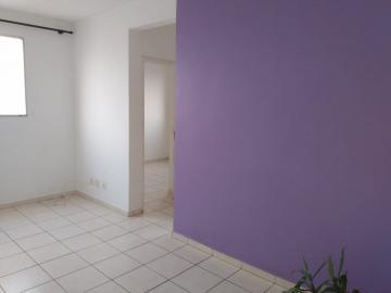imagem 1 - Apartamento de 2 quartos no Ana Célia imagem 1 - Apartamento de 2 quartos no Ana Célia