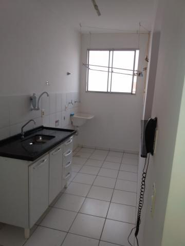 Alugar Apartamento / Padrão em São José do Rio Preto apenas R$ 550,00 - Foto 7