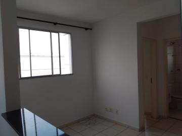 Alugar Apartamento / Padrão em São José do Rio Preto apenas R$ 550,00 - Foto 8