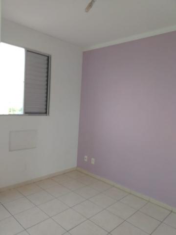 Alugar Apartamento / Padrão em São José do Rio Preto R$ 550,00 - Foto 18