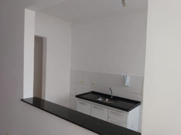 Alugar Apartamento / Padrão em São José do Rio Preto apenas R$ 550,00 - Foto 20