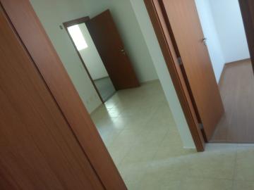 Alugar Apartamento / Padrão em São José do Rio Preto R$ 600,00 - Foto 9