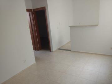 Alugar Apartamento / Padrão em São José do Rio Preto R$ 600,00 - Foto 8