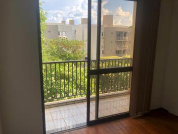 Alugar Apartamento / Padrão em São José do Rio Preto R$ 950,00 - Foto 27