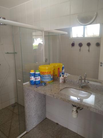 Alugar Casa / Sobrado em São José do Rio Preto R$ 3.800,00 - Foto 12