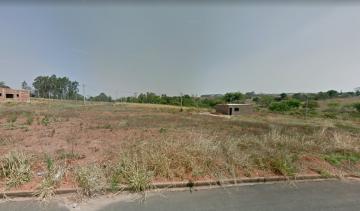 imagem 3 - Terreno / Padrão À venda com em Bady Bassitt  Borboleta I imagem 3 - Terreno / Padrão À venda com em Bady Bassitt  Borboleta I