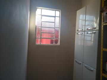 Alugar Casa / Padrão em São José do Rio Preto R$ 905,20 - Foto 3