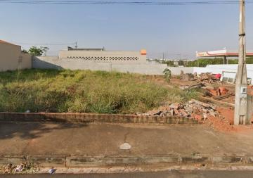 Terreno / Padrão em São José do Rio Preto 