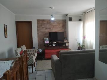 Alugar Apartamento / Padrão em São José do Rio Preto. apenas R$ 200.000,00