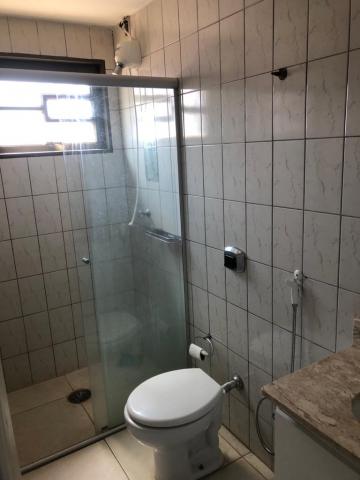 Alugar Apartamento / Cobertura em São José do Rio Preto R$ 1.400,00 - Foto 12