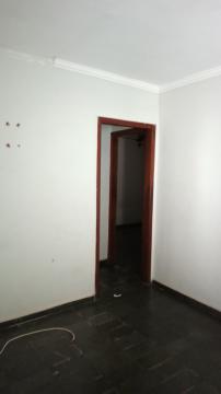 Alugar Casa / Padrão em São José do Rio Preto R$ 800,00 - Foto 14