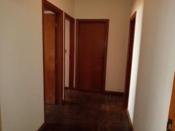 imagem 5 - Casa localizada no bairro São Manoel / Jardim Panorama com 3 dormitórios e 2 vagas de garagem cobertas. imagem 5 - Casa localizada no bairro São Manoel / Jardim Panorama com 3 dormitórios e 2 vagas de garagem cobertas.