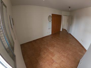 Alugar Apartamento / Padrão em São José do Rio Preto apenas R$ 550,00 - Foto 2