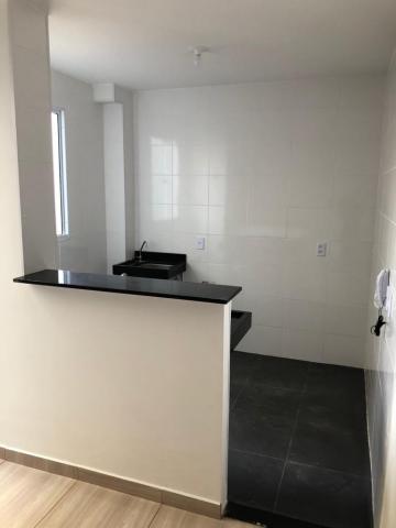 Alugar Apartamento / Padrão em São José do Rio Preto R$ 500,00 - Foto 3