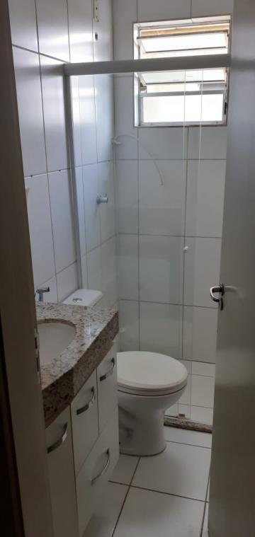 Alugar Apartamento / Cobertura em São José do Rio Preto R$ 1.300,00 - Foto 14