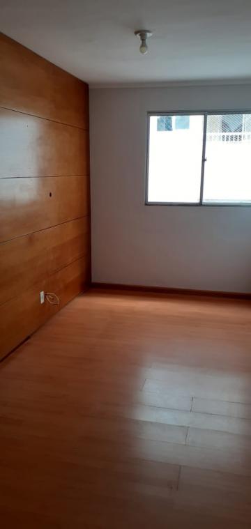 Alugar Apartamento / Cobertura em São José do Rio Preto R$ 1.300,00 - Foto 2