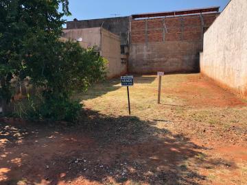 imagem 3 - Lote com 250 m²  para venda localizado no Jardim Marambaia. imagem 3 - Lote com 250 m²  para venda localizado no Jardim Marambaia.