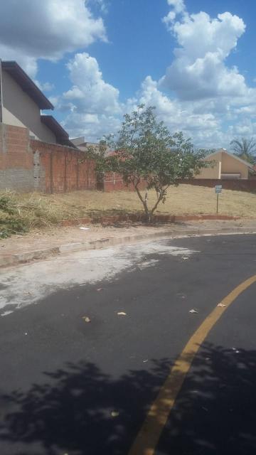 imagem 2 - Terreno - Engenheiro Schimidt imagem 2 - Terreno - Engenheiro Schimidt