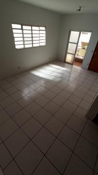 Alugar Apartamento / Padrão em São José do Rio Preto apenas R$ 950,00 - Foto 3