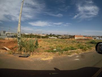 Alugar Terreno / Padrão em Bady Bassitt. apenas R$ 78.000,00
