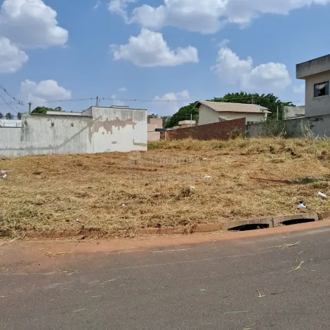 Terreno / Padrão em São José do Rio Preto 