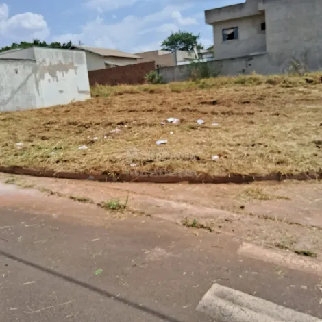 imagem 2 - Jardim Nunes II- Terreno de esquina plano com 240 m². imagem 2 - Jardim Nunes II- Terreno de esquina plano com 240 m².