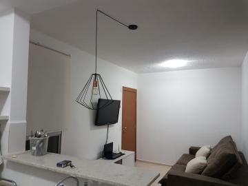 Apartamento / Padrão em São José do Rio Preto 