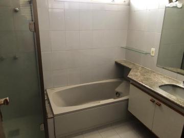 Alugar Apartamento / Padrão em São José do Rio Preto R$ 1.900,00 - Foto 16