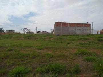 imagem 2 - Terreno - Padrão imagem 2 - Terreno - Padrão