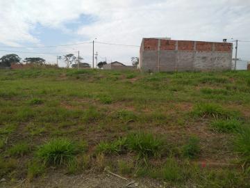 Comprar Terreno / Padrão em Bady Bassitt apenas R$ 55.000,00 - Foto 3