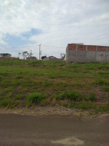 imagem 4 - Terreno - Padrão imagem 4 - Terreno - Padrão