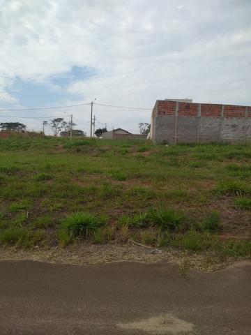 Comprar Terreno / Padrão em Bady Bassitt R$ 55.000,00 - Foto 4