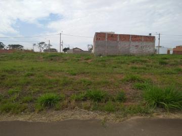 imagem 5 - Terreno - Padrão imagem 5 - Terreno - Padrão