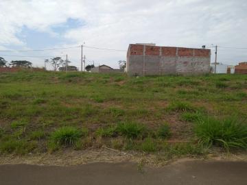 Comprar Terreno / Padrão em Bady Bassitt R$ 55.000,00 - Foto 5