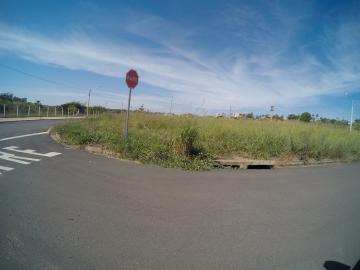 Terreno / Padrão em São José do Rio Preto 