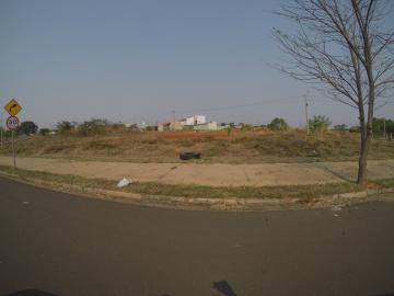 imagem 1 - Terreno - Padrão imagem 1 - Terreno - Padrão
