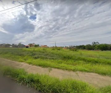 Terreno / Padrão em São José do Rio Preto 