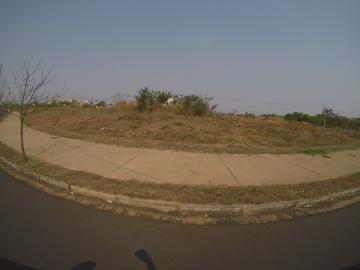 imagem 5 - Terreno - Padrão imagem 5 - Terreno - Padrão