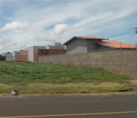 imagem 2 - Terreno - Padrão imagem 2 - Terreno - Padrão