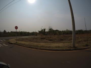 Terreno / Padrão em São José do Rio Preto 