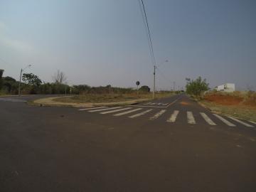 imagem 2 - Terreno - Padrão imagem 2 - Terreno - Padrão