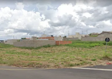 Terreno / Padrão em São José do Rio Preto 