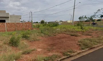 Terreno / Padrão em São José do Rio Preto 