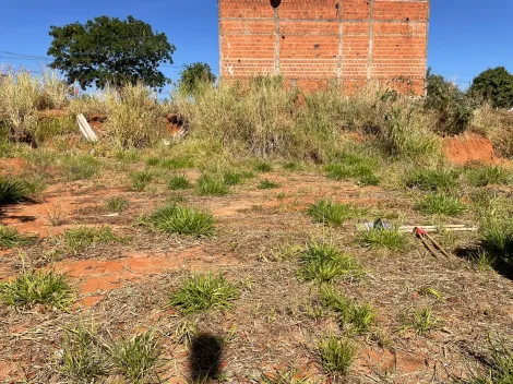 imagem 2 - Ótimo terreno de 233m² em Bady Bassitt - SP imagem 2 - Ótimo terreno de 233m² em Bady Bassitt - SP