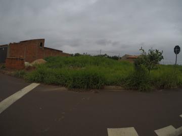 Alugar Terreno / Padrão em Bady Bassitt. apenas R$ 73.350,00